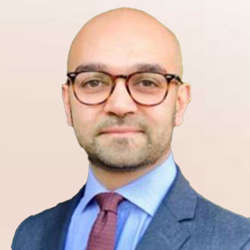 Prof. Ahmed Rashi